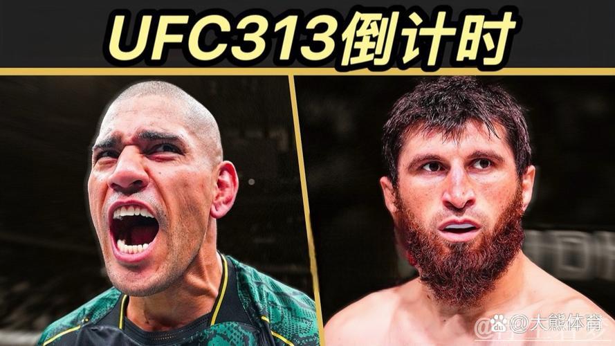 超轻量级WBC过渡拳王战:伊萨克·克鲁斯对决拉蒙·罗奇 超轻量级WBC过渡拳王战:伊萨克·克鲁斯对决拉蒙·罗奇